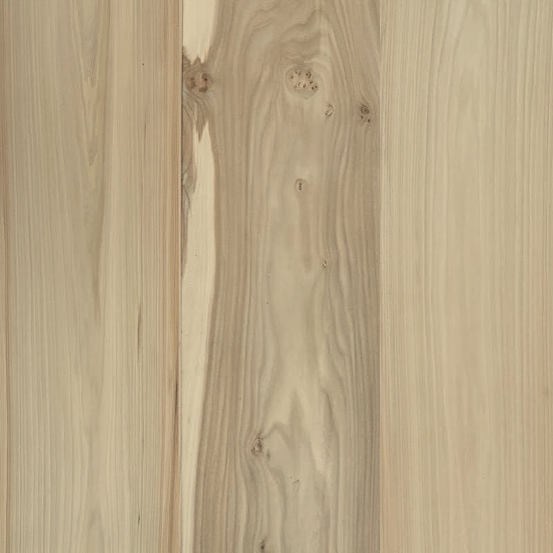 Dutch Elm Flooring - Wood Flooring Product