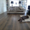 Dog Lying On Dark Regency Grey oak Wood Flooring