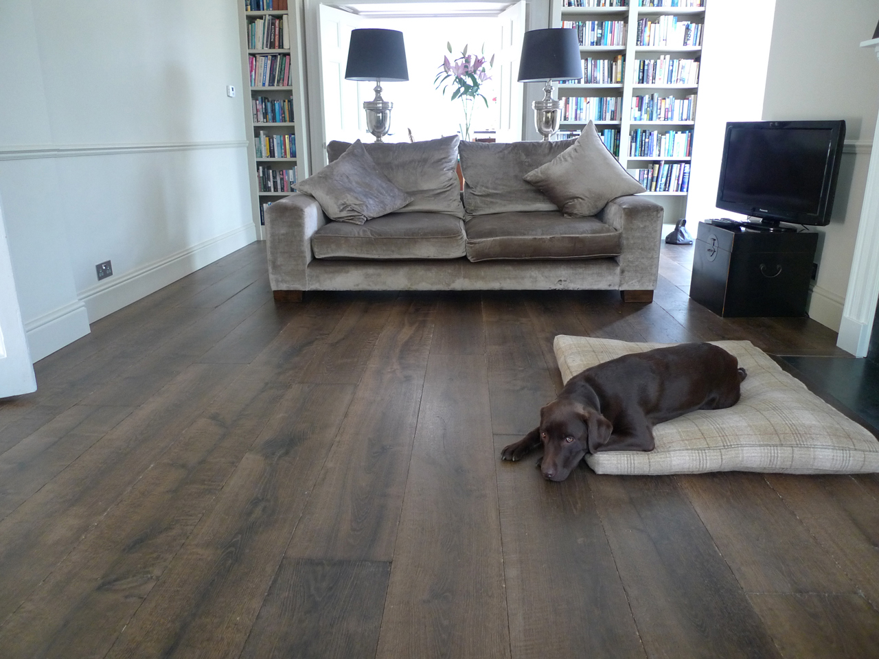 Dog Lying On Dark Regency Grey oak Wood Flooring