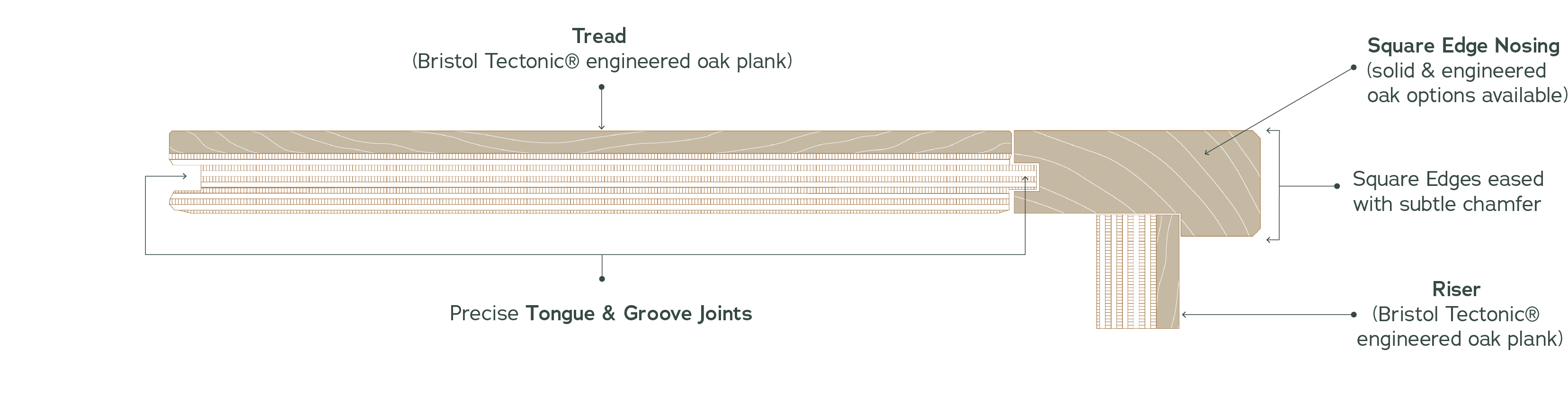 diagram of Square Edge oak stair nosing and engineered oak tread